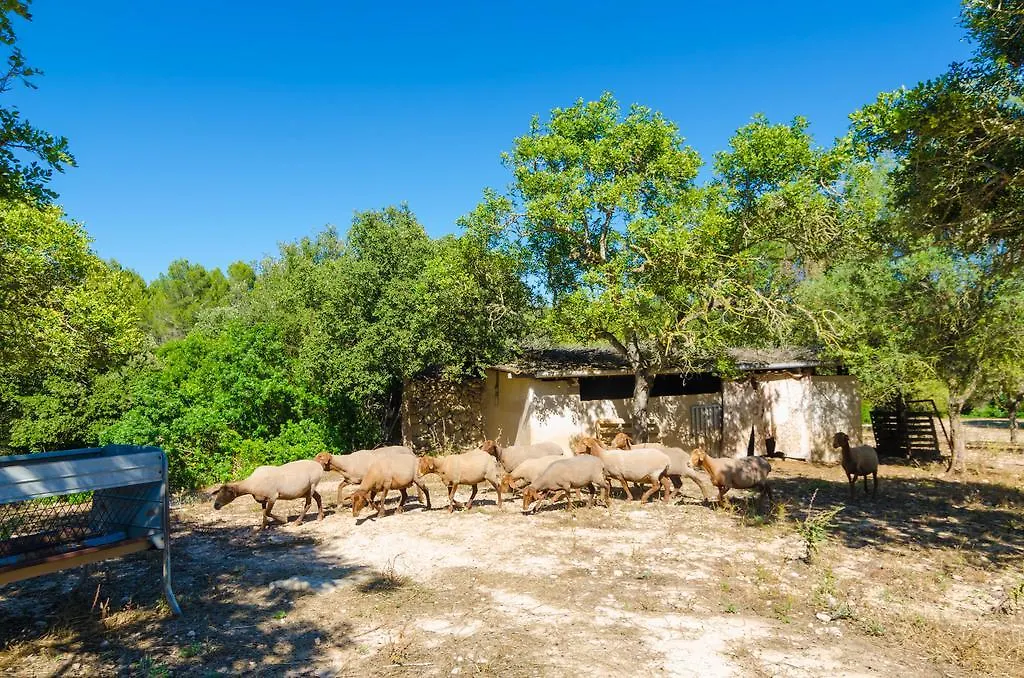 Villa S'Aresta Den Rumbet Llucmajor  Spain