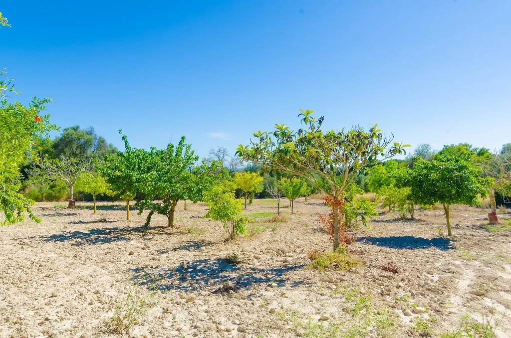S'Aresta Den Rumbet Llucmajor  0*, Llucmajor (Mallorca)